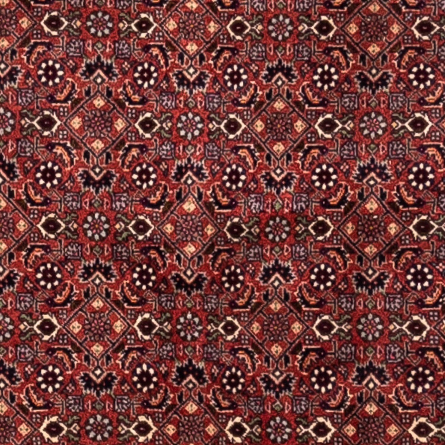 Perserteppich - Bidjar - Royal 293 x 200 cm - rot