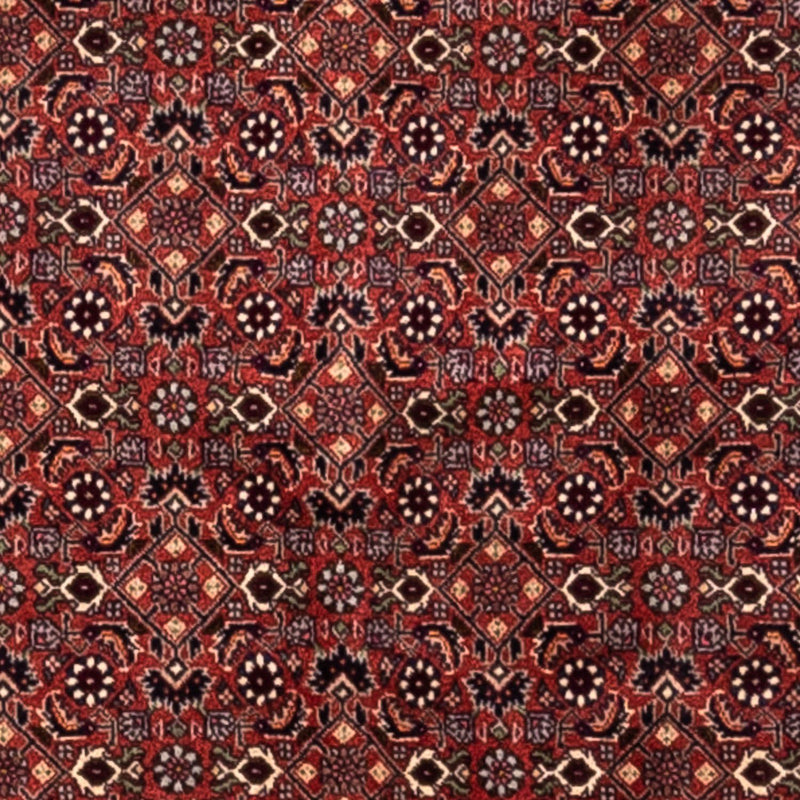 Perserteppich - Bidjar - Royal 293 x 200 cm - rot