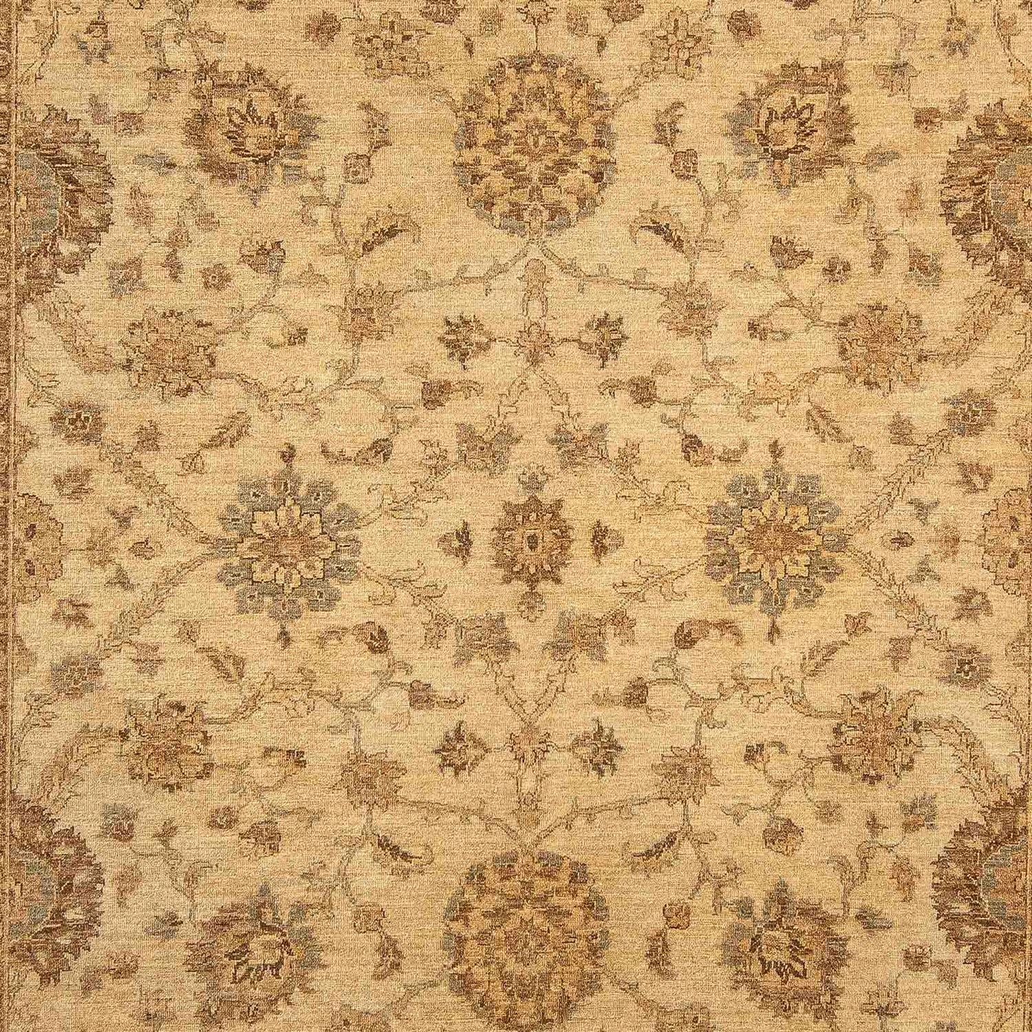 Ziegler Teppich 323 x 244 cm