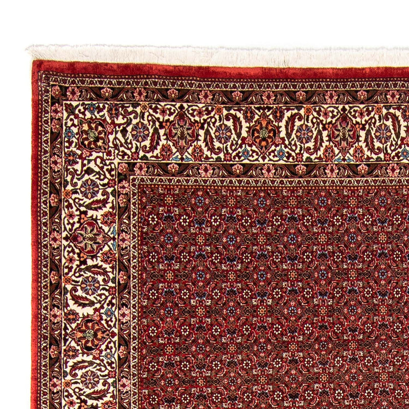 Perserteppich - Bidjar 330 x 246 cm