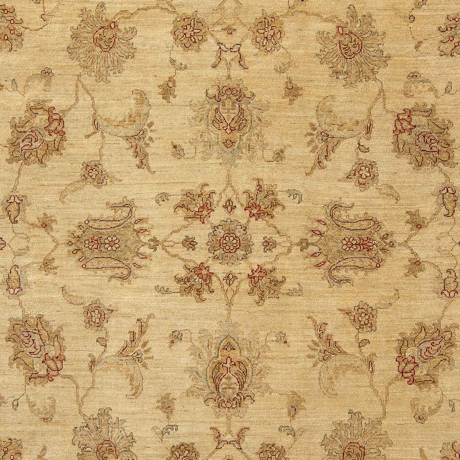 Ziegler Teppich 315 x 246 cm