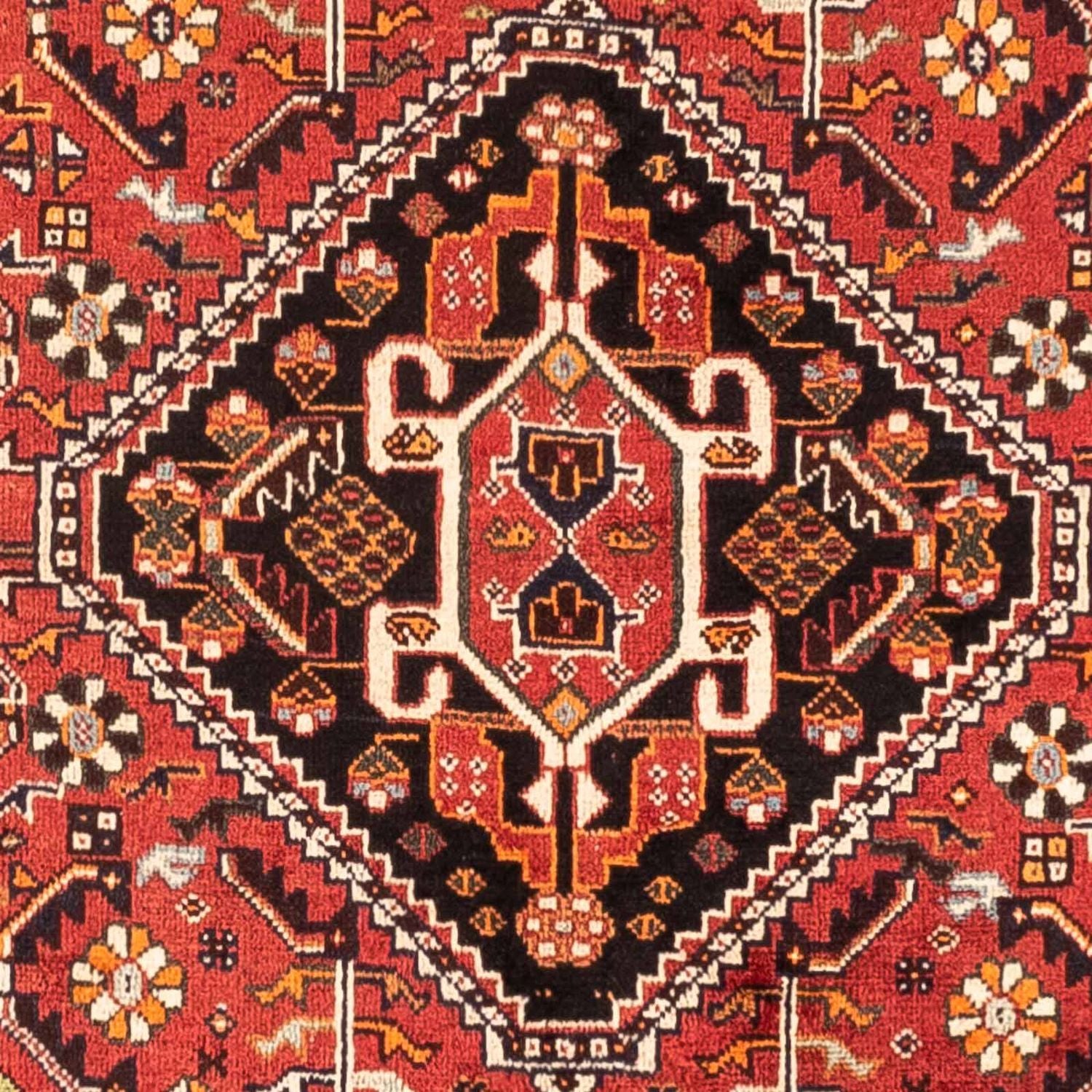 Perserteppich - Nomadic 252 x 163 cm