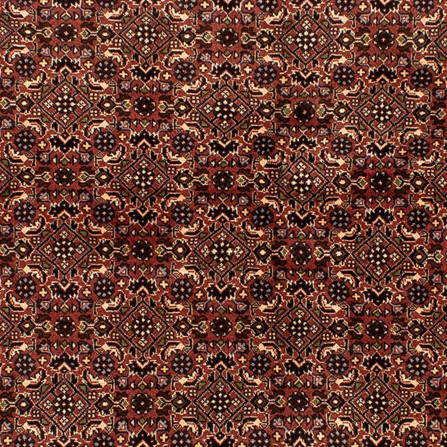 Perserteppich - Bidjar 214 x 136 cm