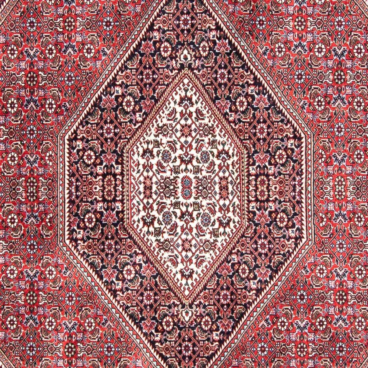 Perserteppich - Bidjar 237 x 168 cm