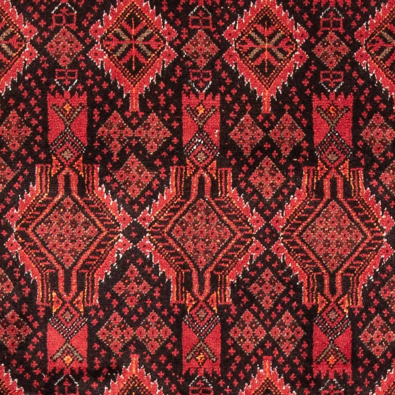 Belutsch Teppich 181 x 102 cm