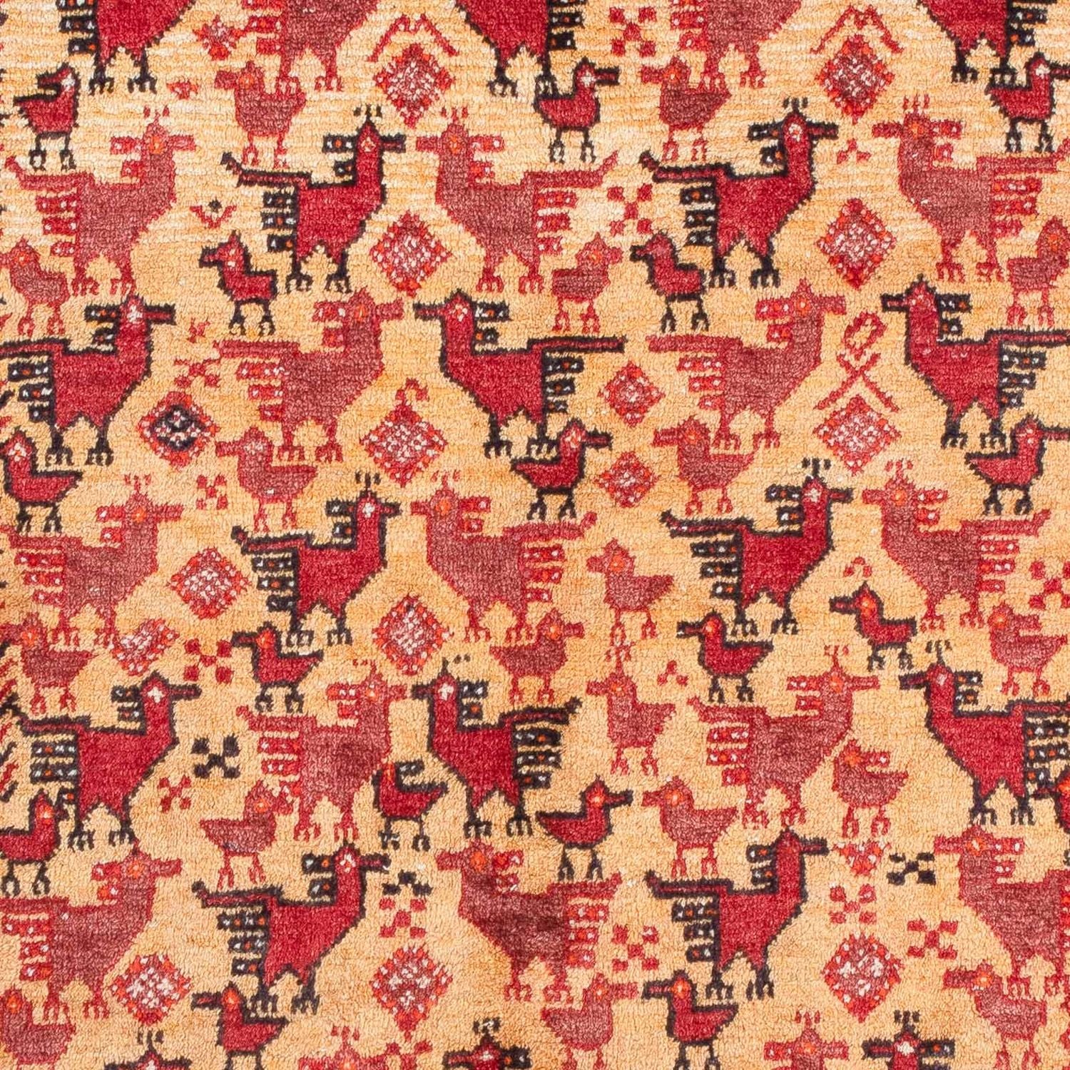 Belutsch Teppich 167 x 94 cm