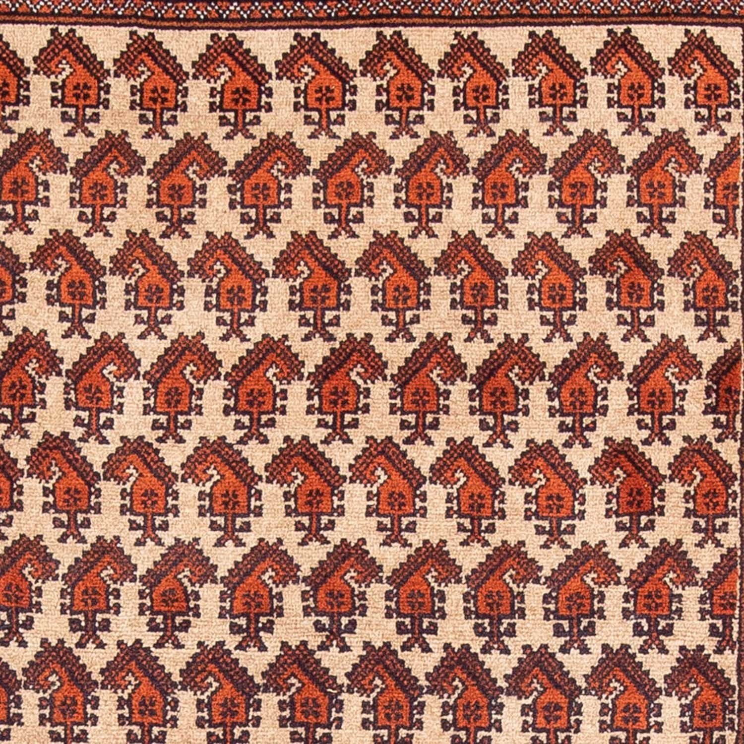 Belutsch Teppich 178 x 100 cm