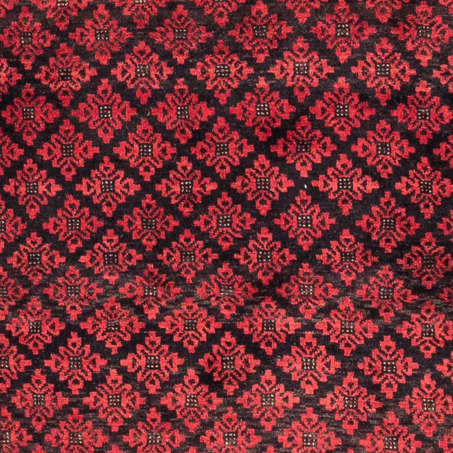 Belutsch Teppich 181 x 100 cm