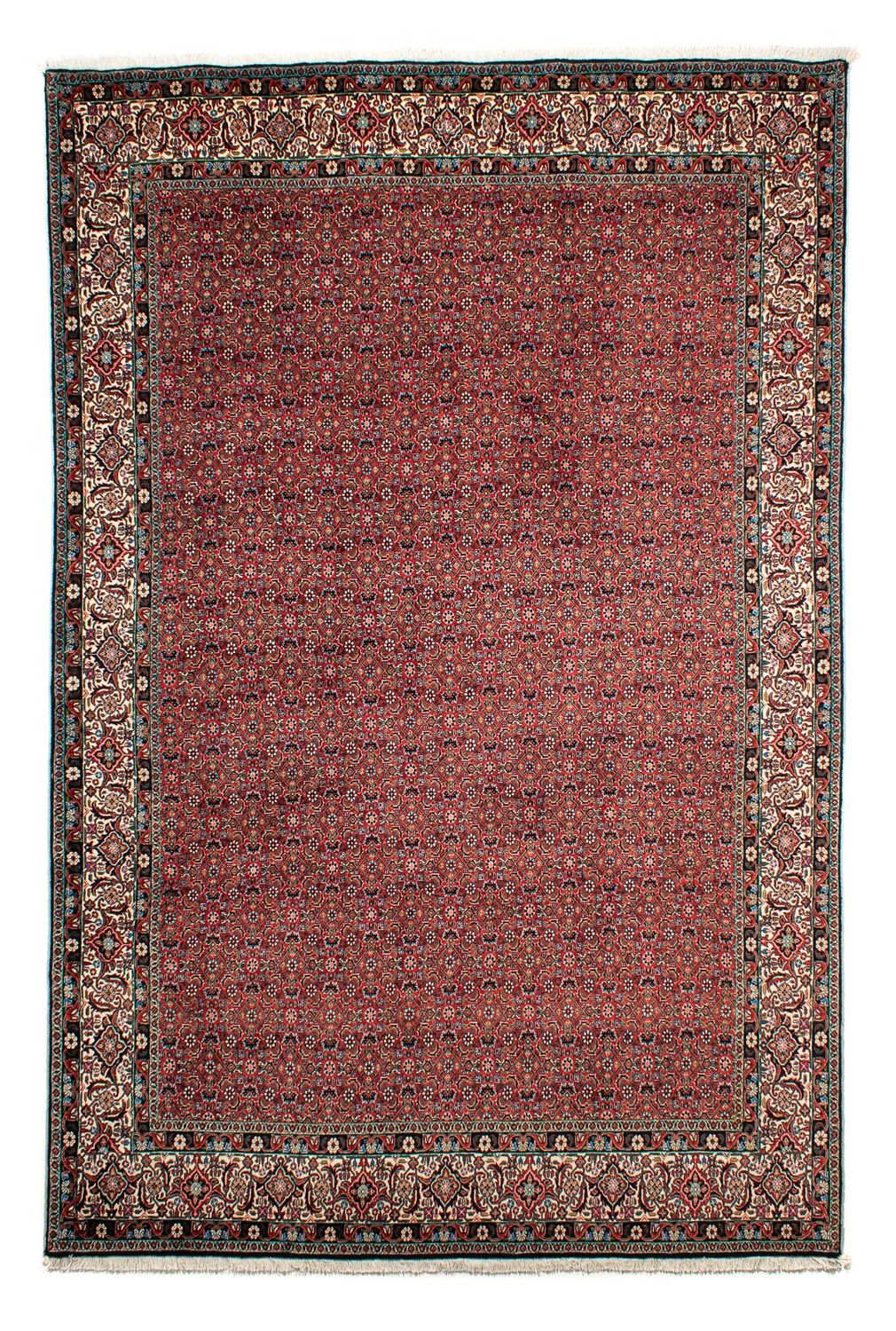 Perserteppich - Bidjar 299 x 203 cm