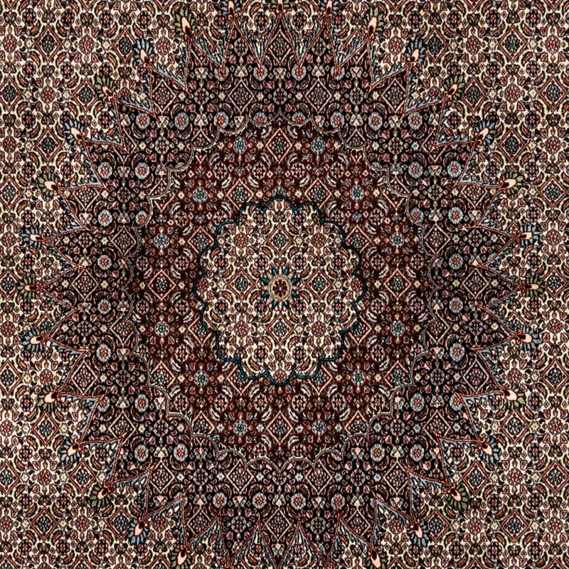 Perserteppich - Classic 333 x 248 cm