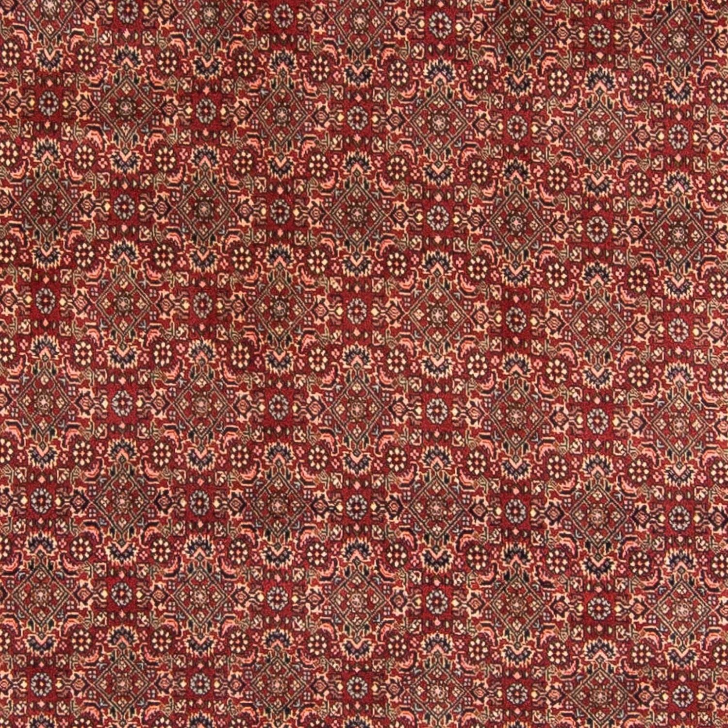 Perserteppich - Bidjar 298 x 200 cm