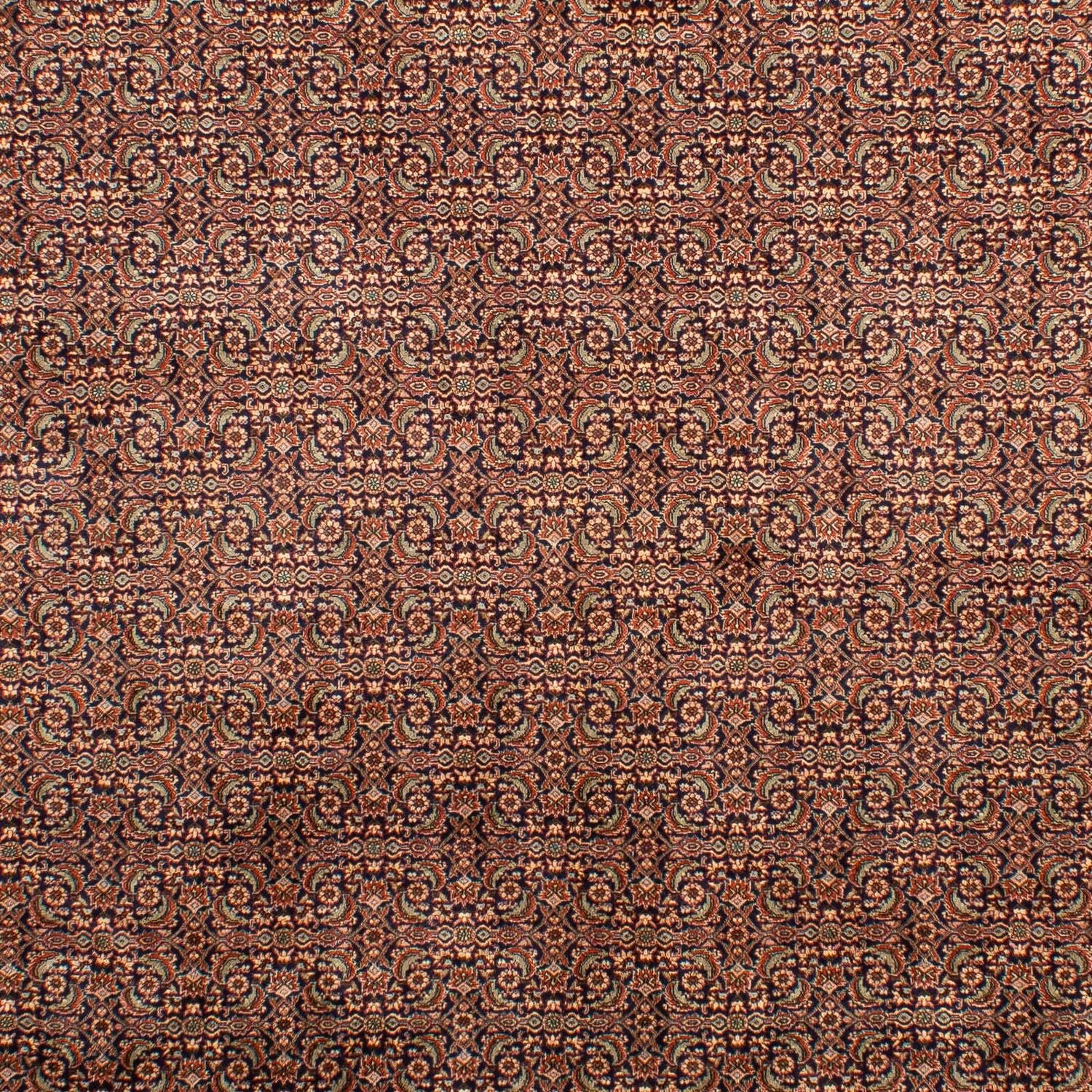 Perserteppich - Bidjar 298 x 202 cm - mehrfarbig
