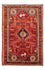 Perserteppich - Nomadic 258 x 165 cm