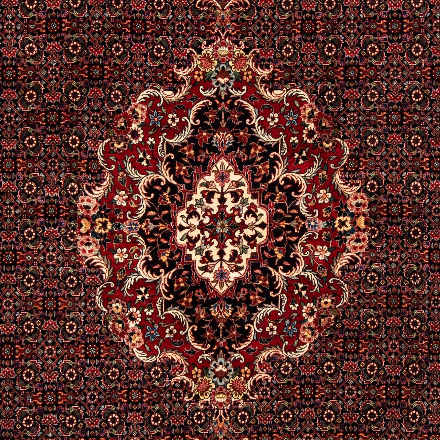Perserteppich - Bidjar 252 x 200 cm