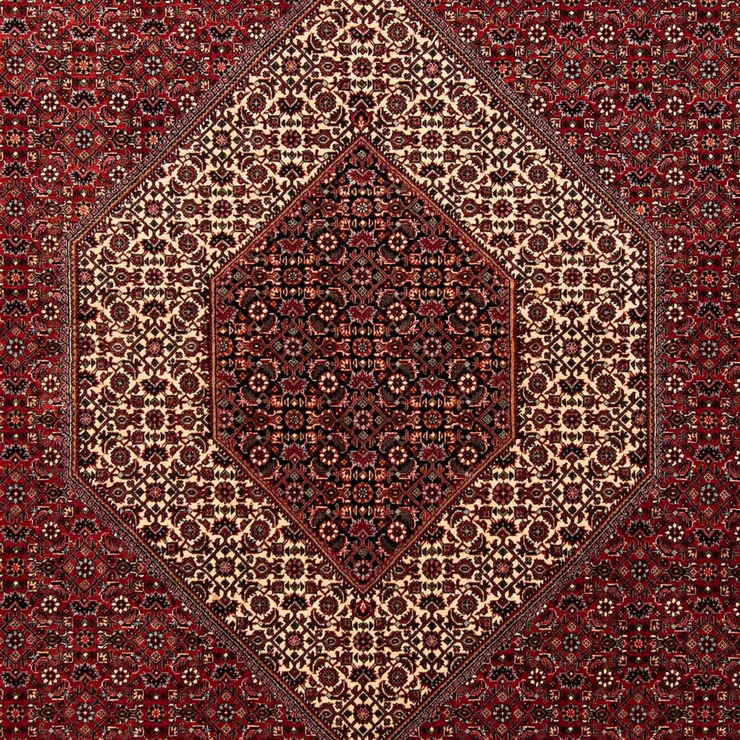 Perserteppich - Bidjar 253 x 202 cm