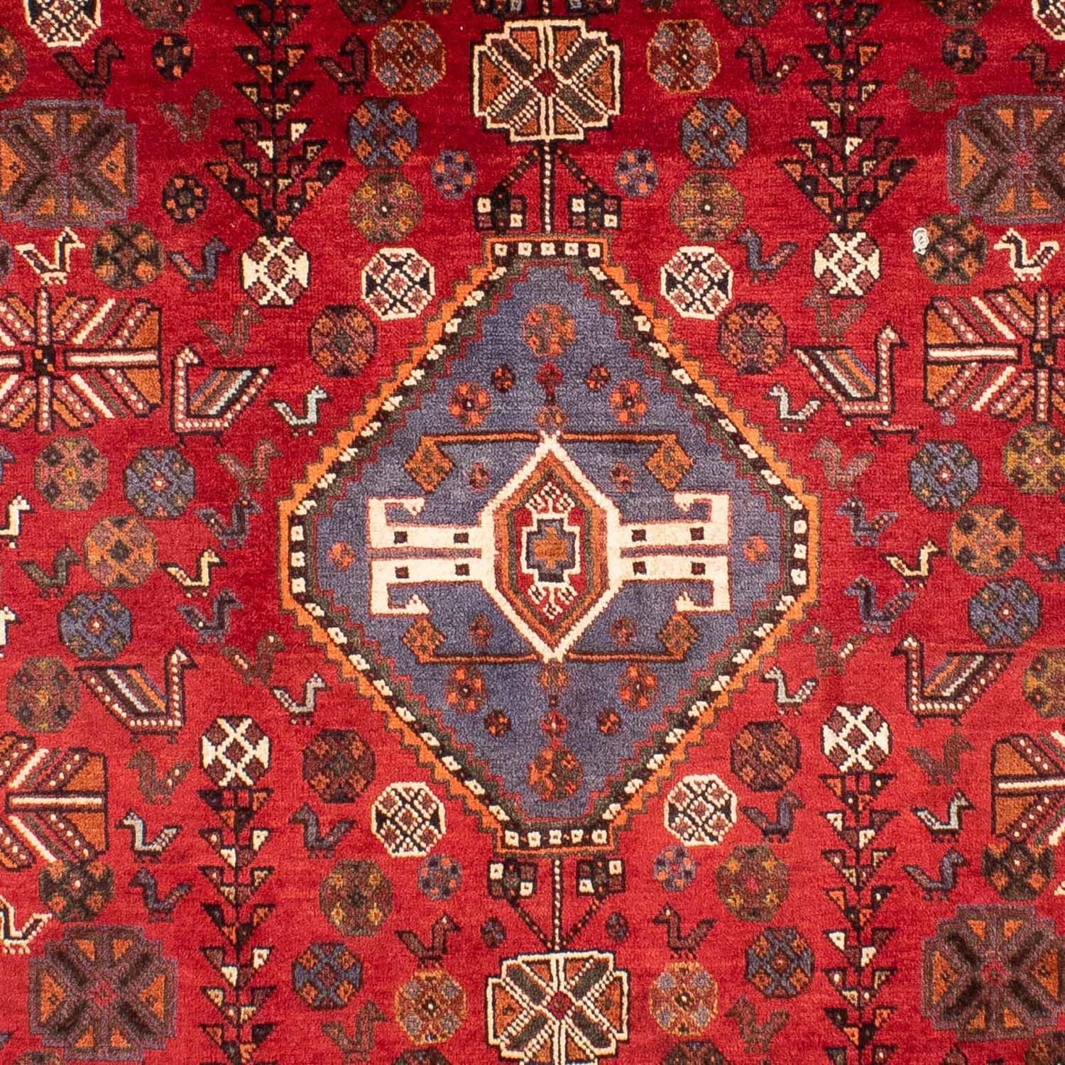 Perserteppich - Nomadic 312 x 216 cm