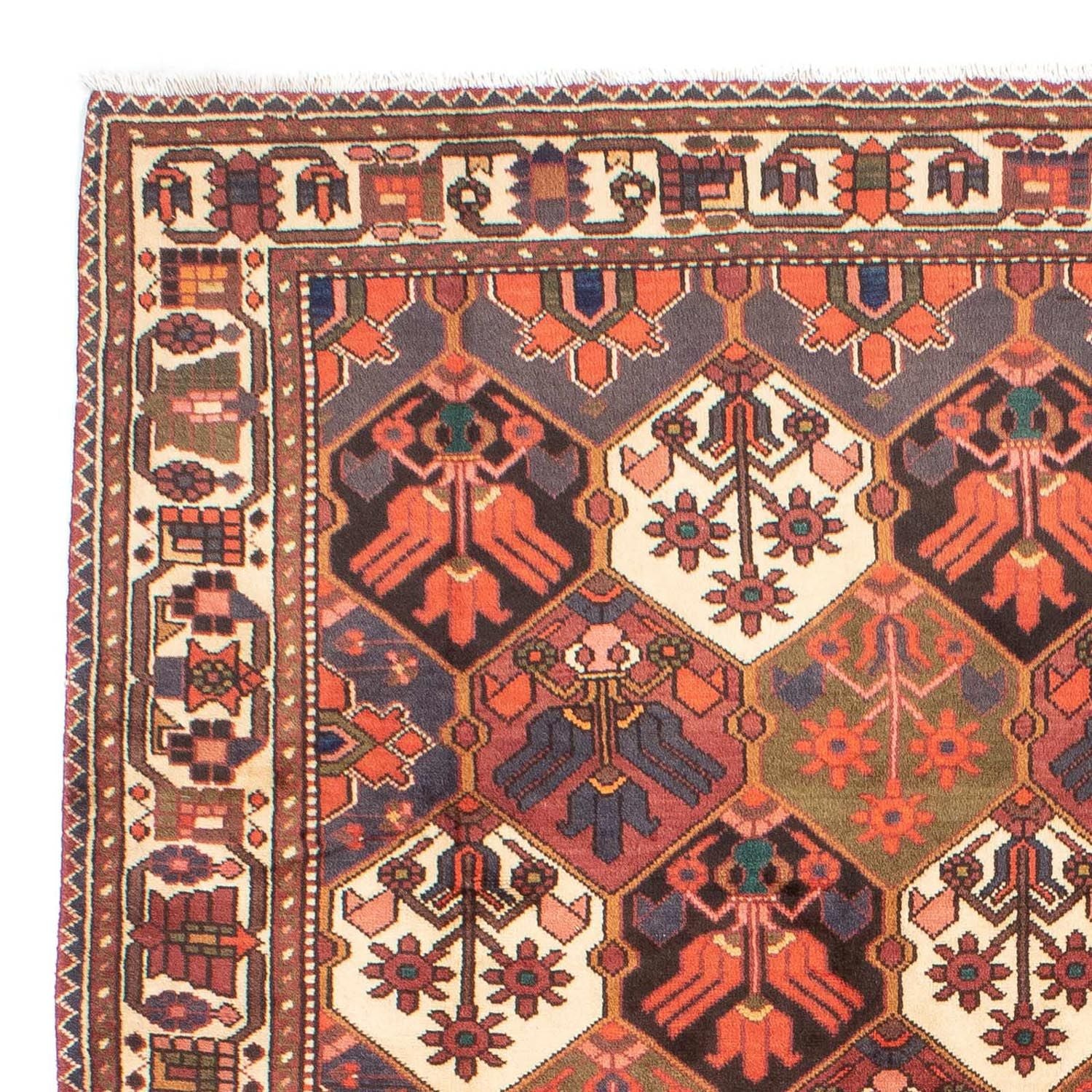 Perserteppich - Nomadic 287 x 207 cm - braun