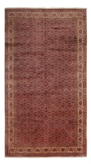 Perserteppich - Bidjar - Royal - 482 x 256 cm - braun