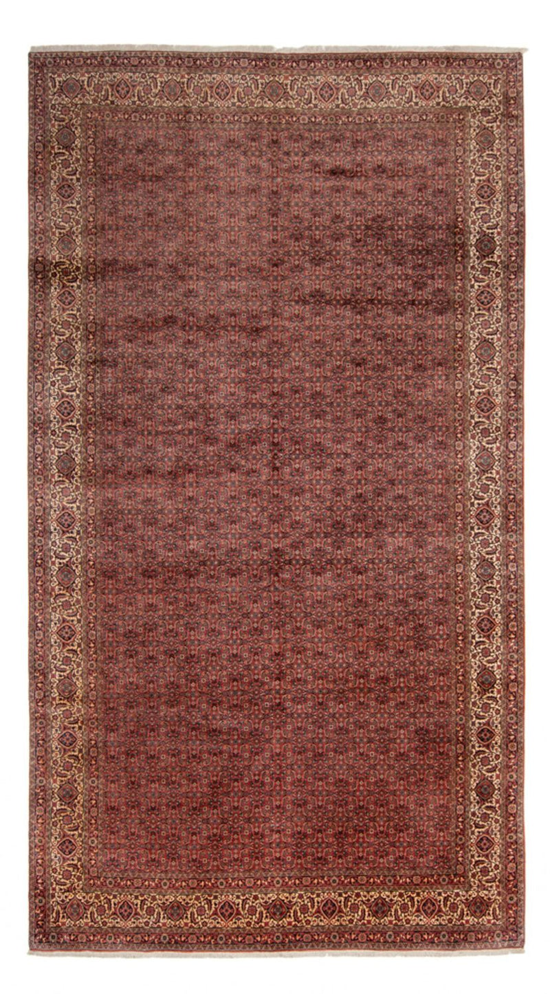Perserteppich - Bidjar - Royal - 482 x 256 cm - braun