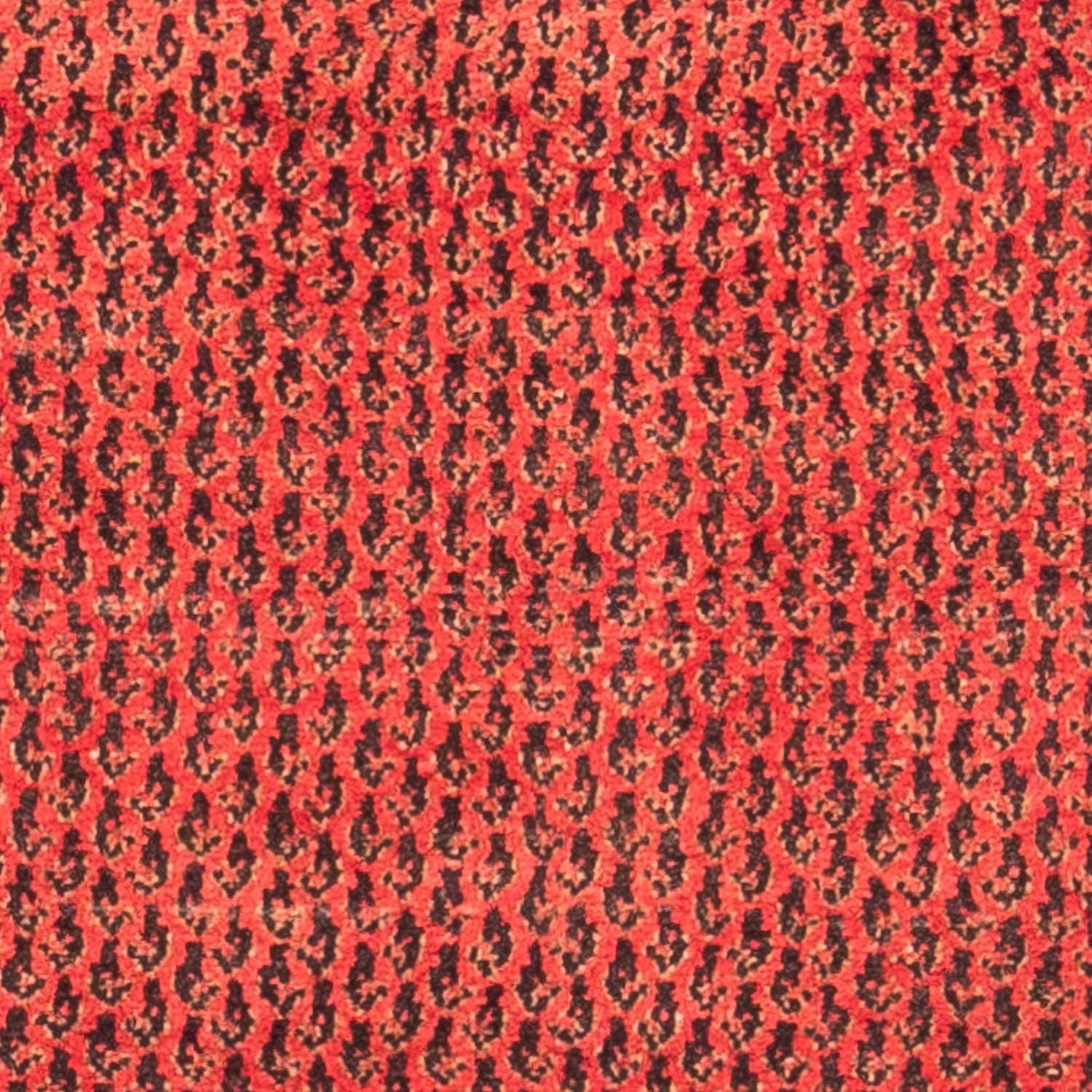 Perserteppich - Nomadic 312 x 112 cm