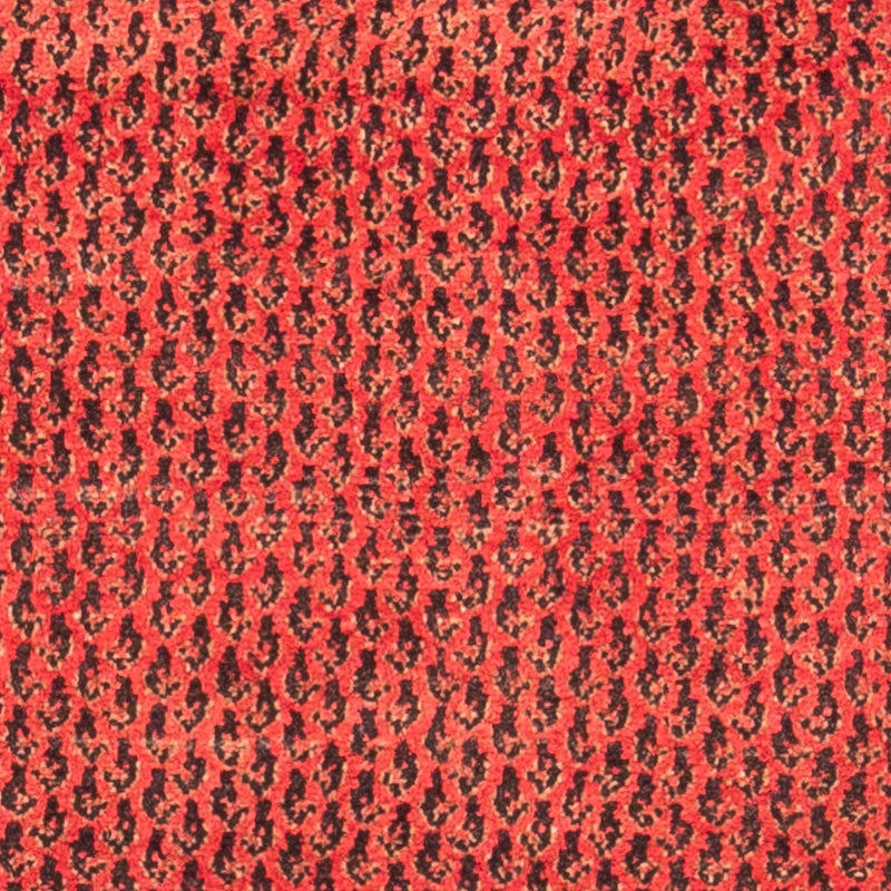 Perserteppich - Nomadic 312 x 112 cm