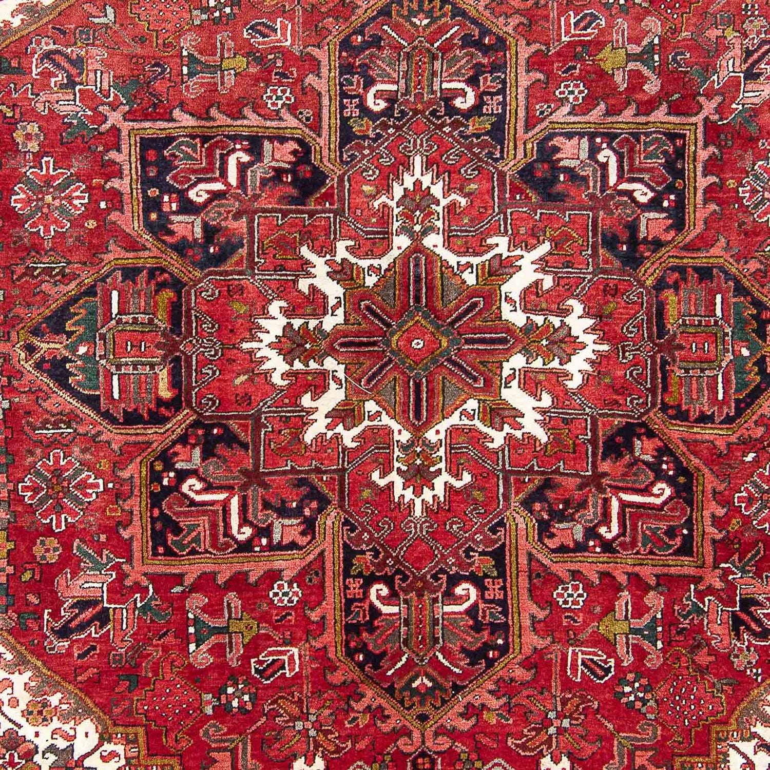 Perserteppich - Nomadic 331 x 247 cm