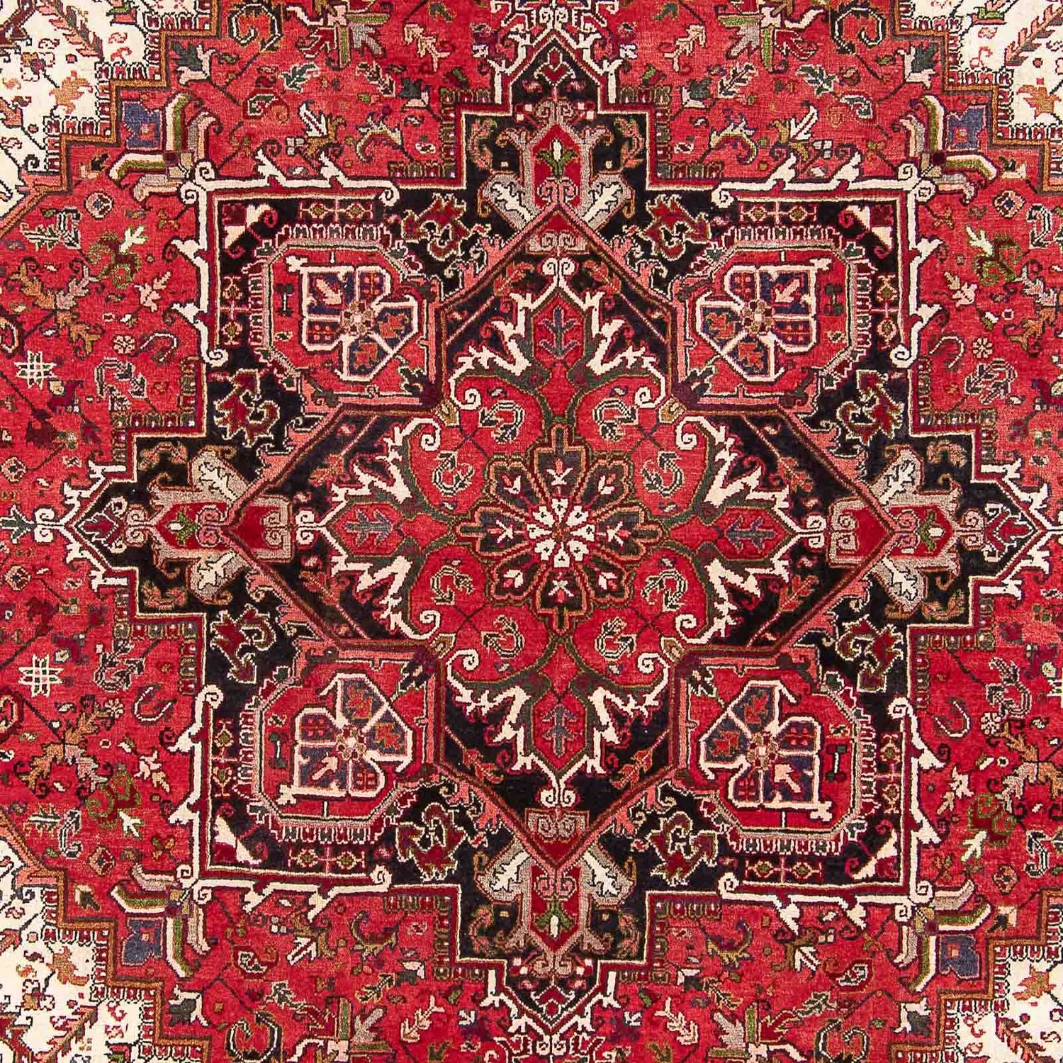 Perserteppich - Nomadic 328 x 260 cm