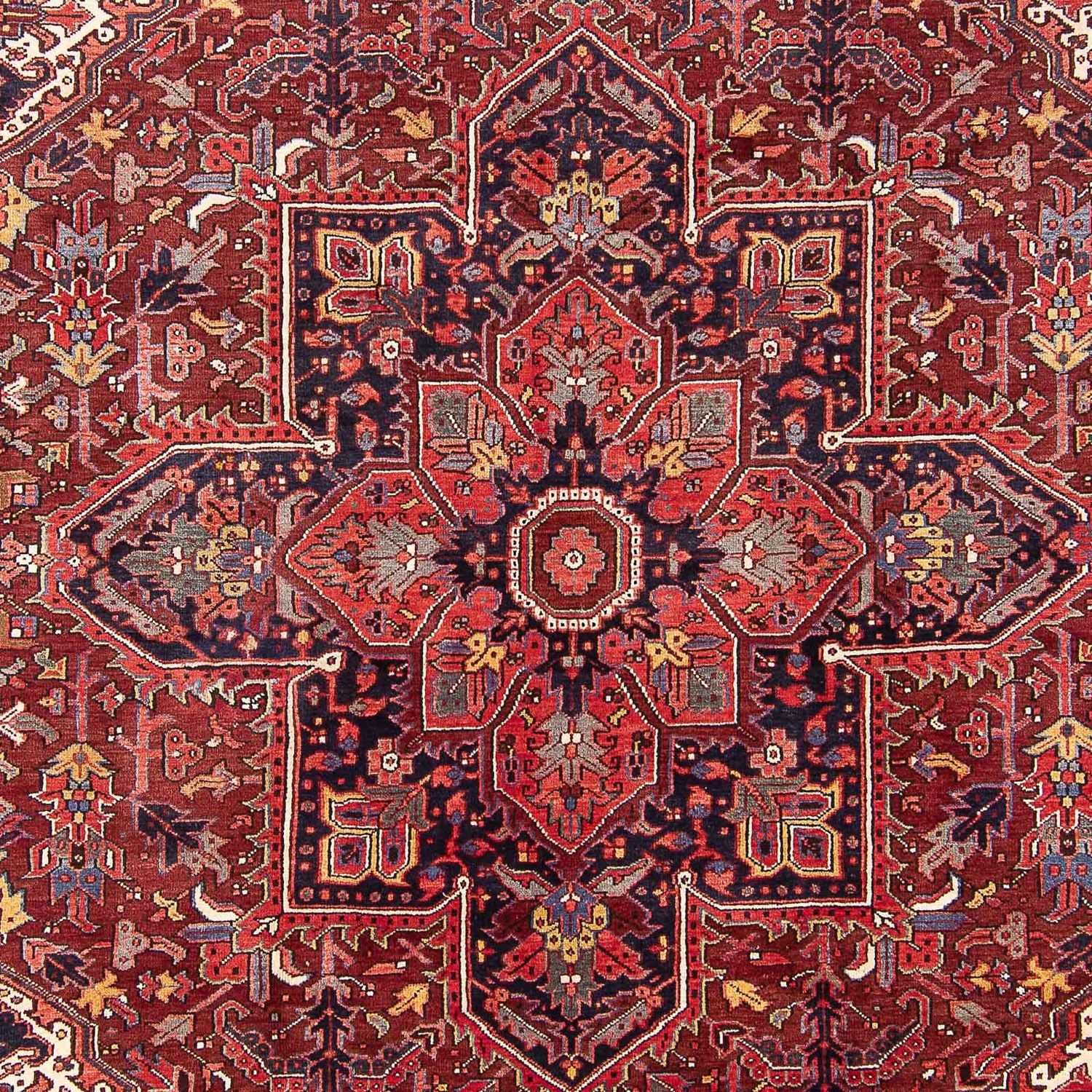 Perserteppich - Nomadic 337 x 245 cm