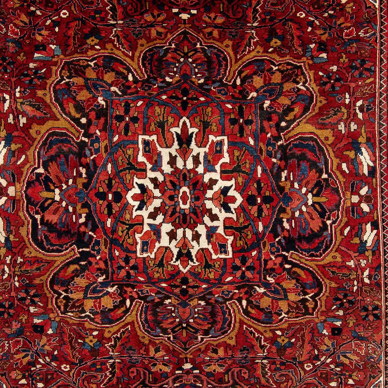 Perserteppich - Nomadic 405 x 296 cm