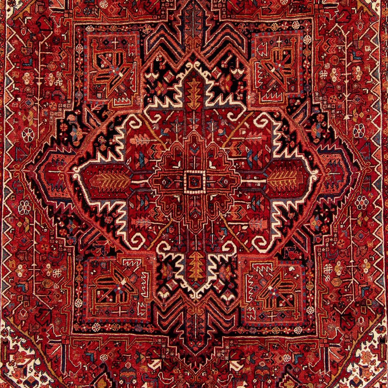 Perserteppich - Nomadic 374 x 295 cm