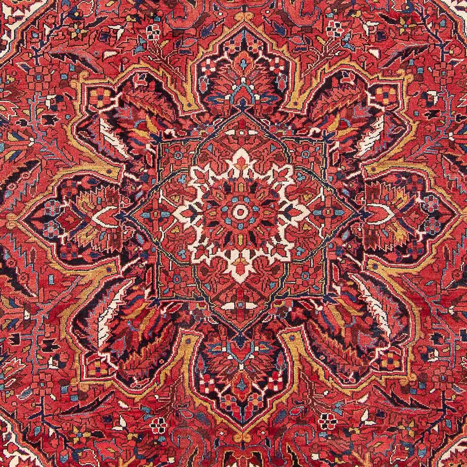 Perserteppich - Nomadic 366 x 262 cm