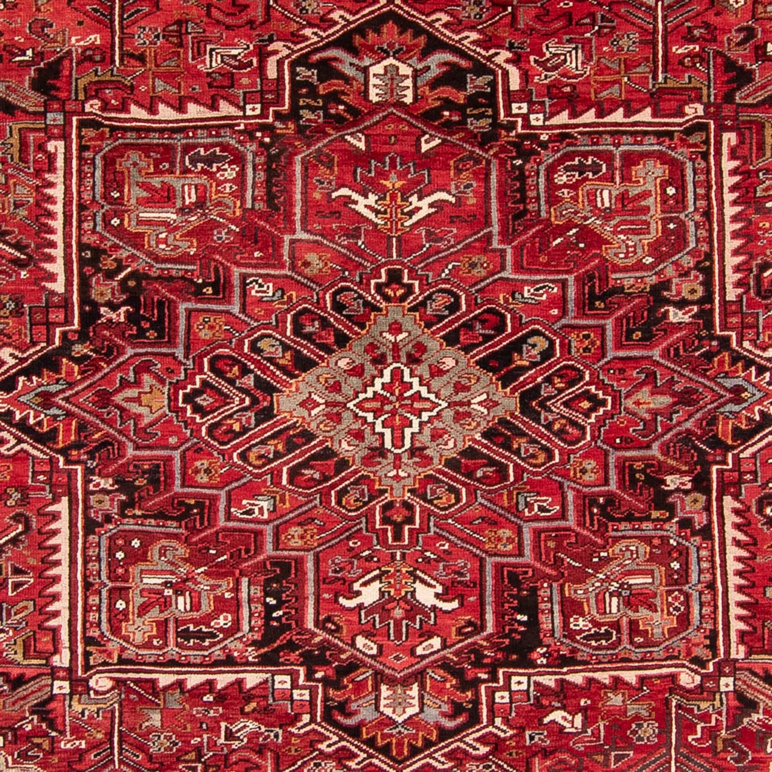 Perserteppich - Nomadic 361 x 267 cm