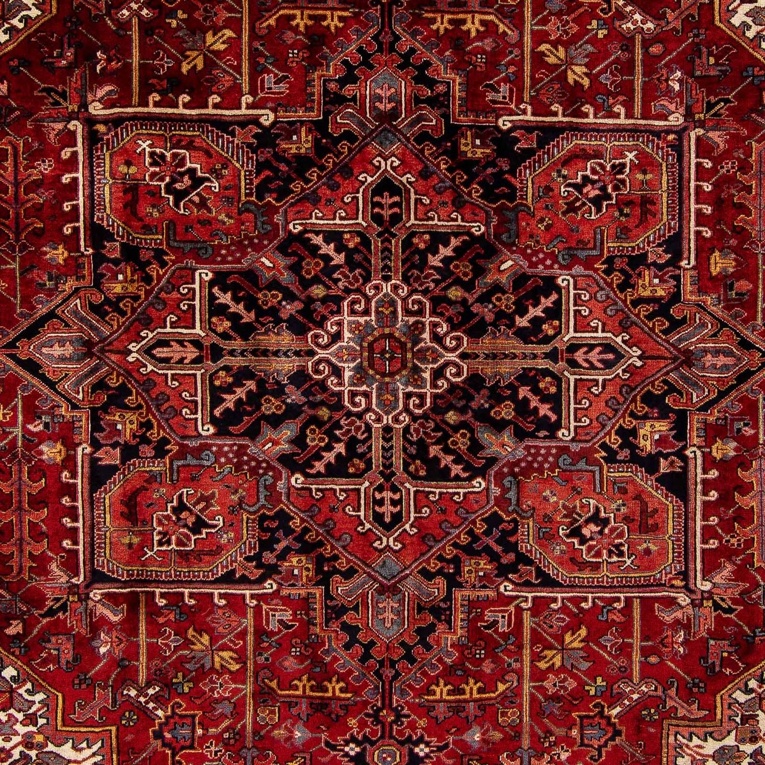 Perserteppich - Nomadic 380 x 310 cm