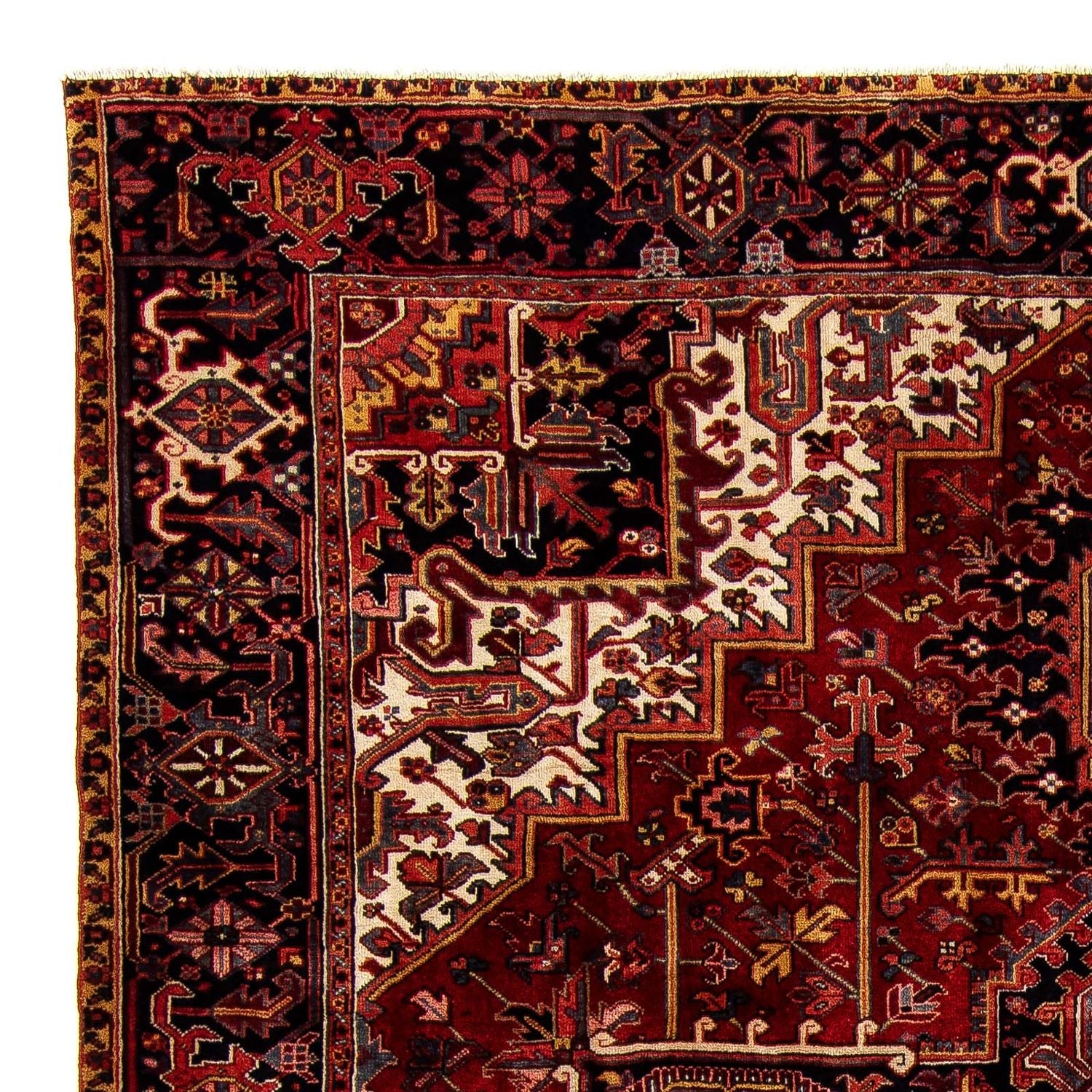 Perserteppich - Nomadic 380 x 310 cm