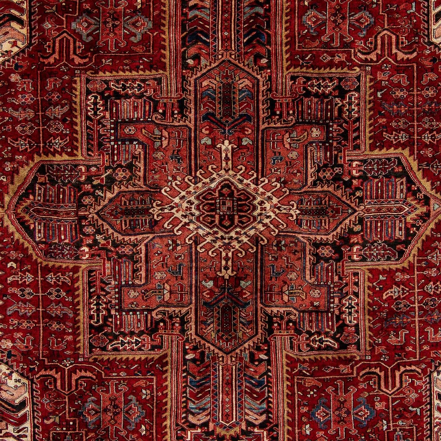 Perserteppich - Nomadic 397 x 304 cm