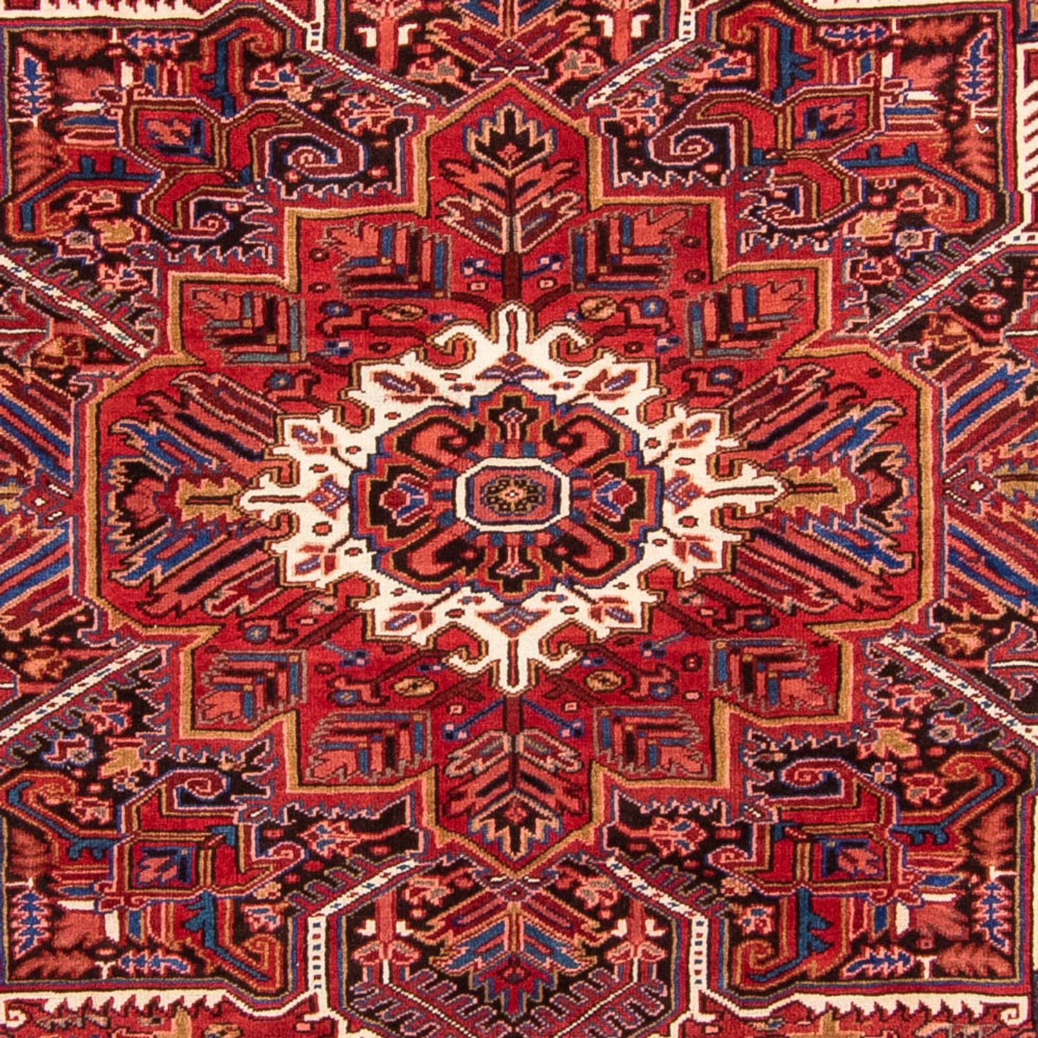 Perserteppich - Nomadic 330 x 250 cm