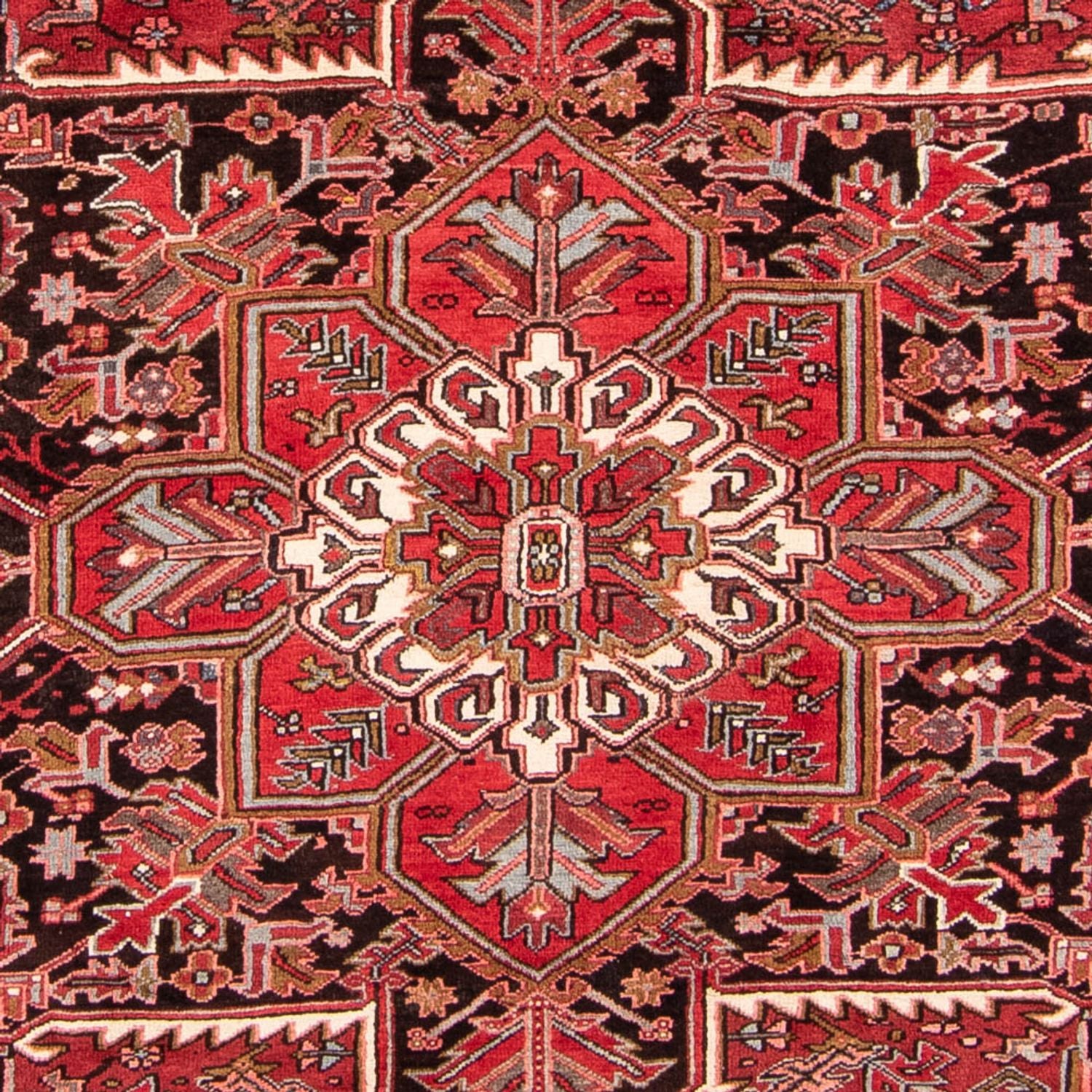 Perserteppich - Nomadic 342 x 252 cm