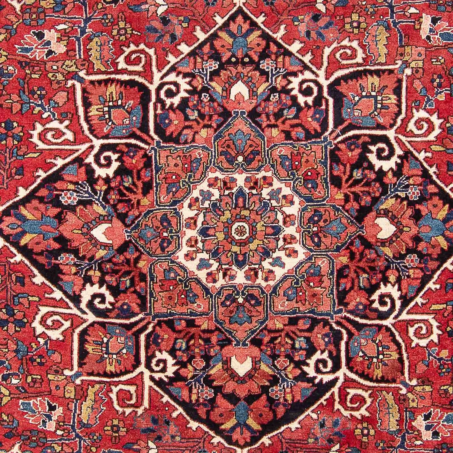 Perserteppich - Nomadic 344 x 240 cm