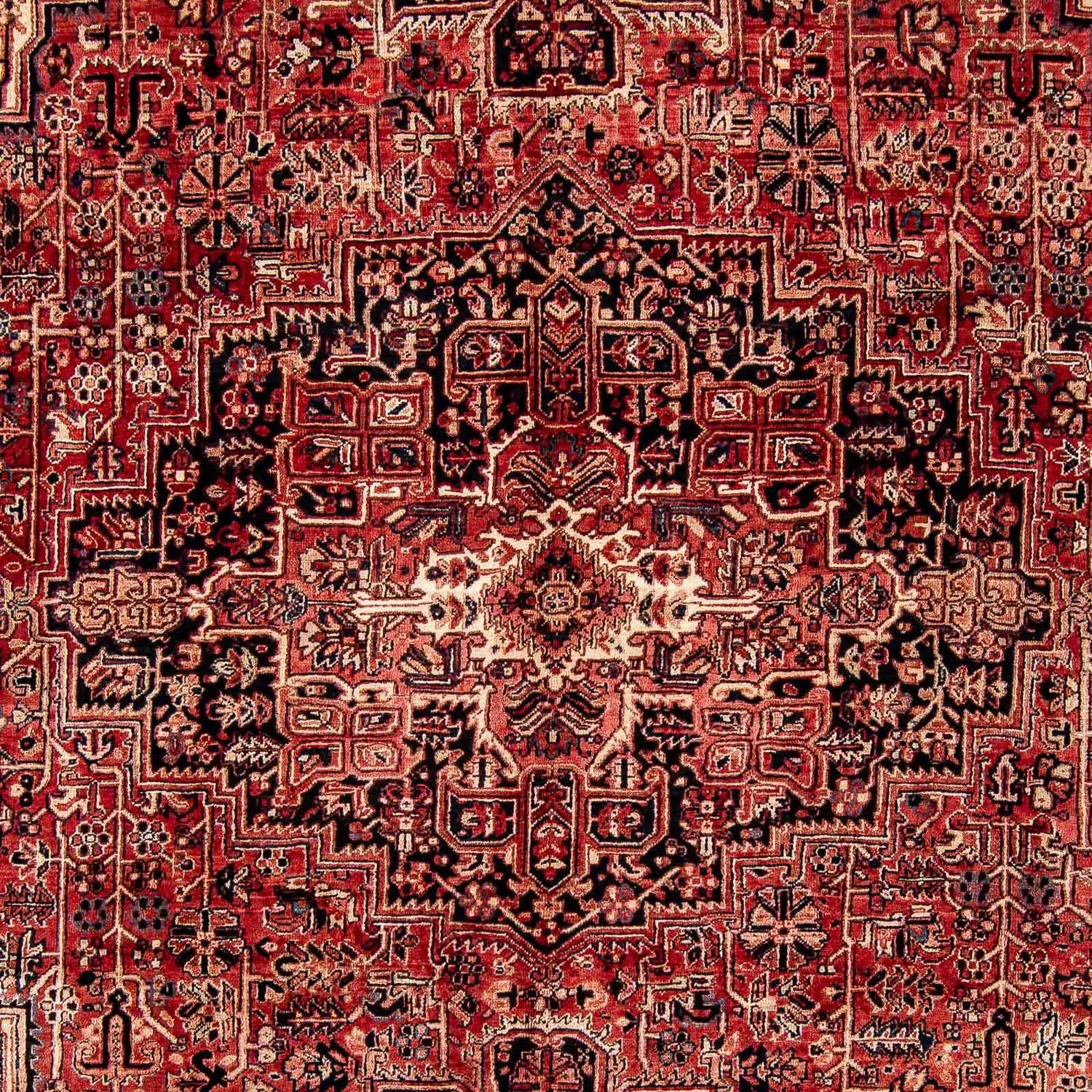 Perserteppich - Nomadic 388 x 298 cm