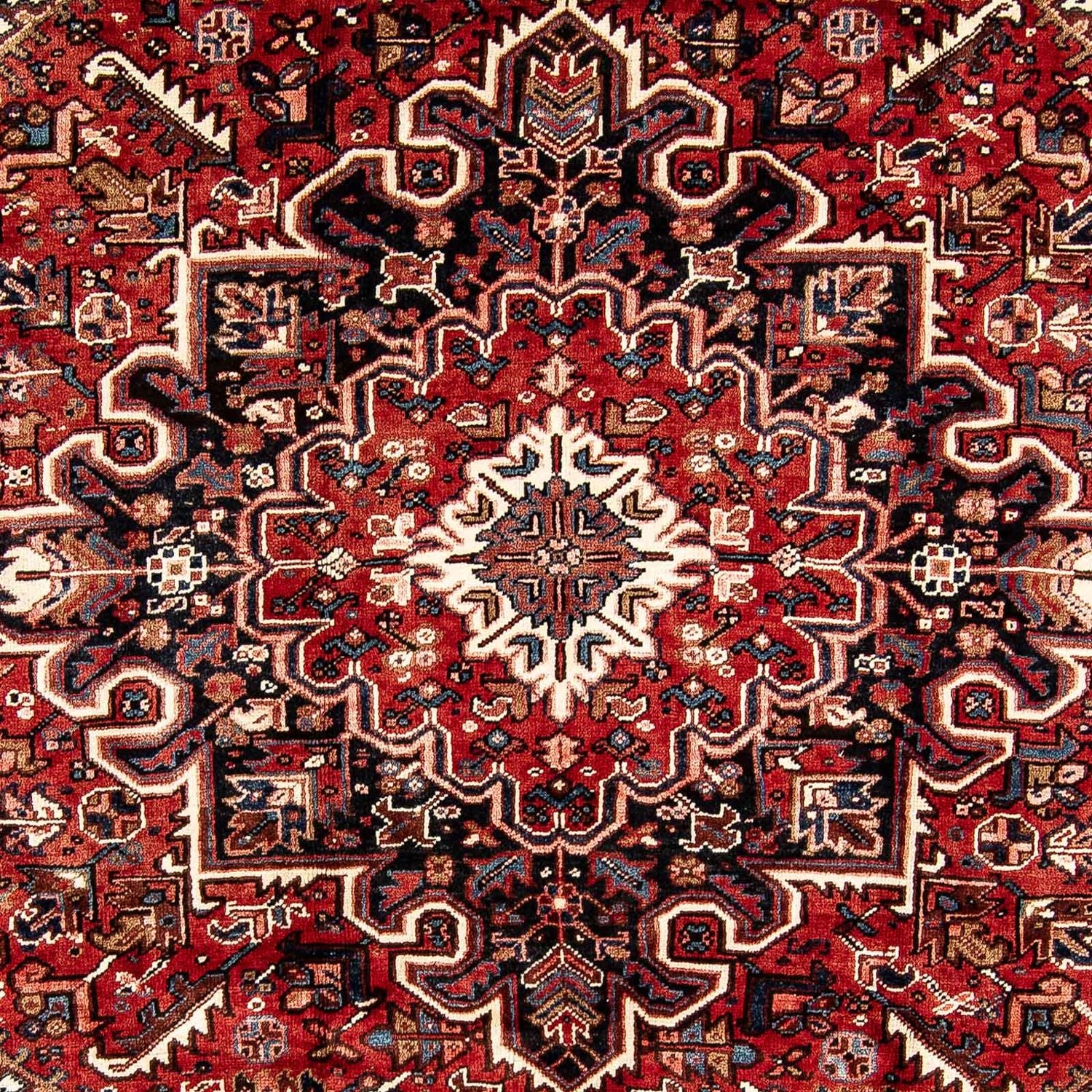 Perserteppich - Nomadic 323 x 231 cm