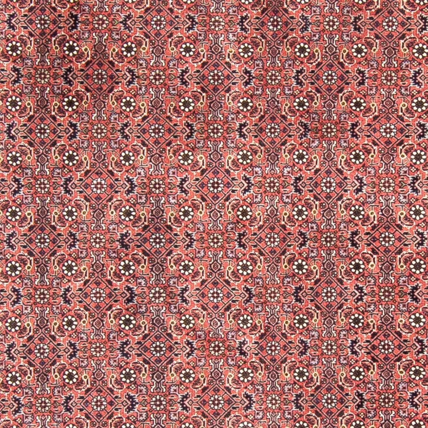Perserteppich - Bidjar 300 x 300 cm
